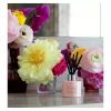 Floral Street Wonderland Bloom Diffusers 100ml