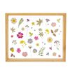 Sass & Belle Pressed Flowers Framed Wall Art