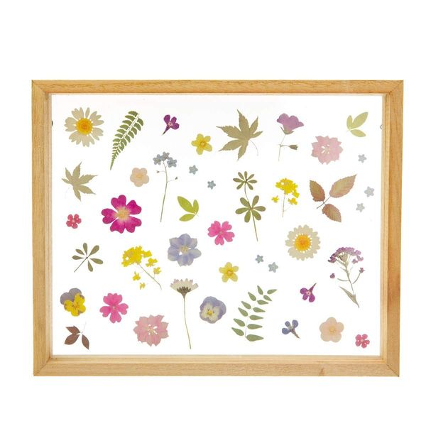 Sass & Belle Pressed Flowers Framed Wall Art