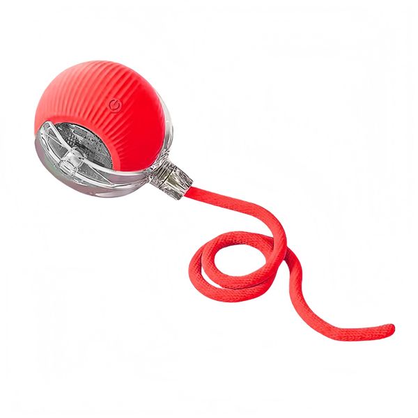 Interactive Cat Ball Toy with Rope Tail, Red