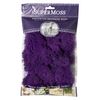 SuperMoss (25124 Reindeer Moss Preserved, Appx. 2oz, Purple