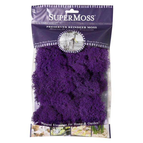 SuperMoss (25124 Reindeer Moss Preserved, Appx. 2oz, Purple