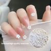 Nail Parts Flower 3d 2 Case Set Flower Parts Bullion Gold Silver Rose Gold Metal Parts for DIY Nail Handmade Nail Art Jewelry Deco Parts Color (Flower + Pearl)