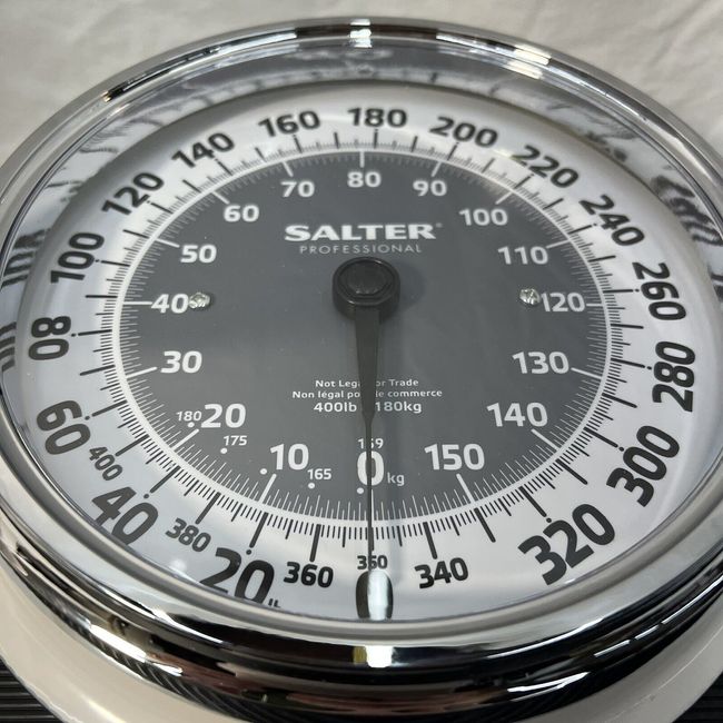 Salter Professional Large Analog Mechanical Scale Gray 