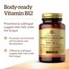 Solgar - Methylcobalamin's Vitamin B12 5000 mcg. 60 nugget(s)