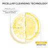 Garnier SkinActive Micellar Water with Vitamin C, Facial Cleanser & Makeup Remover, 13.5 Fl Oz (400mL), 1 Count (Packaging May Vary)