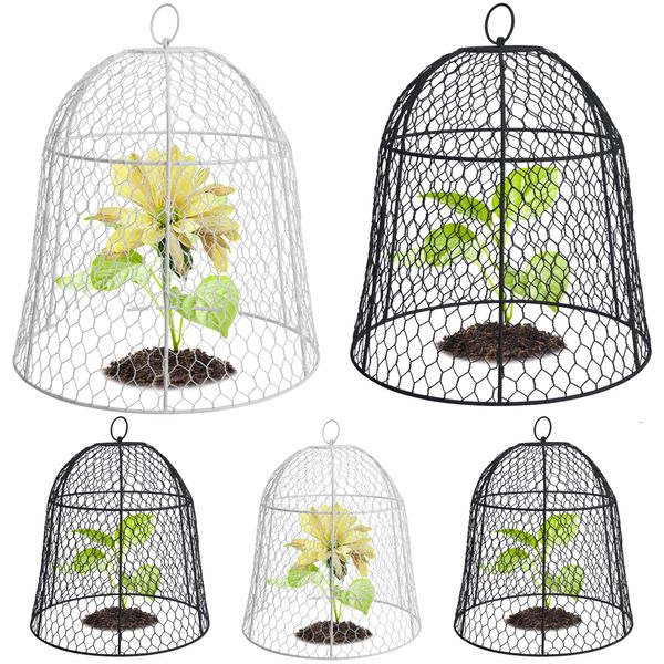 DECOHS 5 Pack Garden Chicken Wire Cloche -11.8 x 11.8 Inch Metal Squirrel Proof Garden Plant Cloche- Chicken Wire Plant Protector Cover for Keeping Bunny Chicken Animals Out Garden Decoration