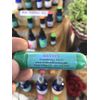 AROMATHERAPY Inhaler 3 PACK Prevention RESPIRATORY COLDS FLU FREE SHIP