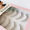 CLEAREYELASH False Eyelashes, Natural, Transparent Shaft, 3D Shape, Matsuek Construction, 10 Pairs, C01 Natural Rich