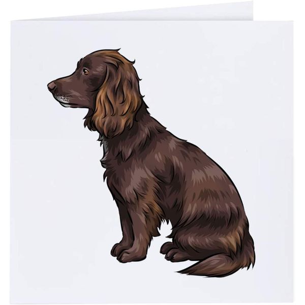 'Sprocker Spaniel' Blank Greeting Card (GC00035460)