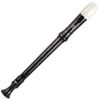 Learn To Play The Recorder Package With Recorder Case & Tutorial Book John Pitts
