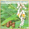 Niacinamide Cosmesse 4843 Nonnon Nonnon Quasi-drug Medicated Cream 32g Whitening Wrinkle Improvement Aging Care Beauty Cream Dry Skin Sensitive Skin Countermeasure Japanese Herbal Plant Alpinia Kamatsudai Himefuuro Yuzu Ceramide
