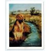 Golden Retriever by Stream Notecards