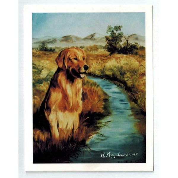 Golden Retriever by Stream Notecards