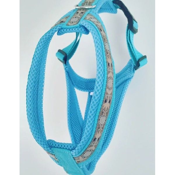 Greyhound Harness. Safety Harness. Galgo, Grey & Co-