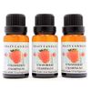 Crazy Candles Strawberry Champagne (Made in USA) 3 Bottles 1/2 FL Oz Each (15ml) Premium Grade Scented Fragrance Oil