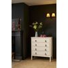 Annie Sloan Chalk Paint 120 ml Canvas