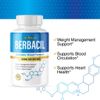 Berbacil- Blood Support- 4 Bottles- 240 Capsules