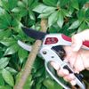 Ratchet type pruning-shears SGP-22R