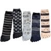 [] 5    5        23-25cm 5 P05