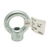 AI Eye Nut 0.4 inch (10 mm) Lifting Connected Fixed 15-102