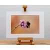 Bumblebee on flower print insect wildlife photo