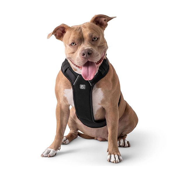 GF PET Travel Harness - Black - XS