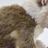 BH7043 HANSA HANSA SLOW LORIS 17