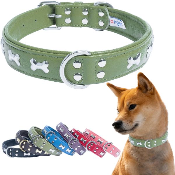 Angel Pet Supplies Inc. Genuine Leather Bones Studded Dog Collar by Angel Pet. Soft and Durable Padded Leather. (14” x 3/4”, Olive Green), Medium, 41274