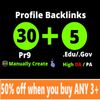 30 DA90 Profile Links with 5 EDU Backlinks [POWERFUL SEO Service]
