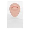 Soft Silicone Flexible Model Body Part, Silicone Nose Tongue Mouth Eye Navel Ear Model Fake Ear with 2 Base for Piercing Practice Acupuncture and Jewelry Display Teaching Tool (Medium Fleshcolor)