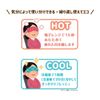 Chibi Maruko-chan CM-EP002 Hot and Cooling Eye Pillow (Maruko Gun)