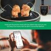 Bluetooth Smoker Temperature Controller Wireless Meat Thermometer Exhaust Fan US