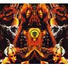 Live At 013 - Roadburn 2009