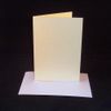 10 x 5"x7" Cream Card Blanks with White Envelopes