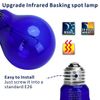 2 Pack AIICIOO 60W UVA Daytime Reptile Bulb Heating Lamp E26 - Blue