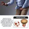 4pcs Kidney Care Patch Kidney Support Relieve Fatigue And Repair Kidney Function