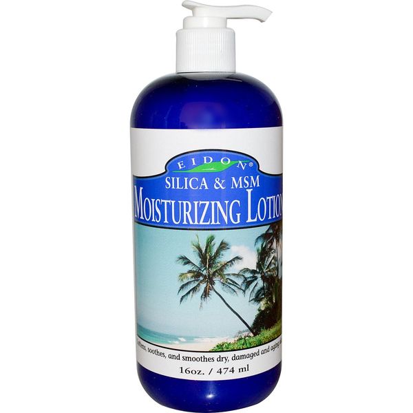 Silica Ionic Moisturzng Lotion - 16 oz - Lotion