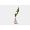 Half Goods Vase Water Drop Base, Grocery Grey & Vanilla WDV-GV