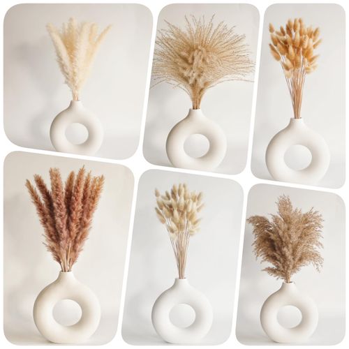 Dried Pampas Grass Decor, 120 PCS Pampas Grass with Bunny Tails Dried Flowers, Reed Grass Bouquet for Wedding, Boho Flowers, Home Table Decor, Rustic Farmhouse Party (White and Brown)