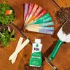 Rit Dye Liquid 8oz-Truly Green