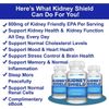 Kidney Restore & Kidney Shield 2-Pack Bundle Function, Renal Health and More