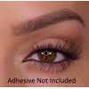 Eldora False Eyelashes H171