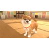 Little Friends: Dogs & Cats (Nintendo Switch)