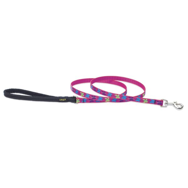 LupinePet Originals 1/2" Wing It 4-foot Padded Handle Leash for Small Pets