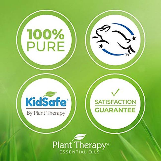 Plant Therapy  Twin Falls ID