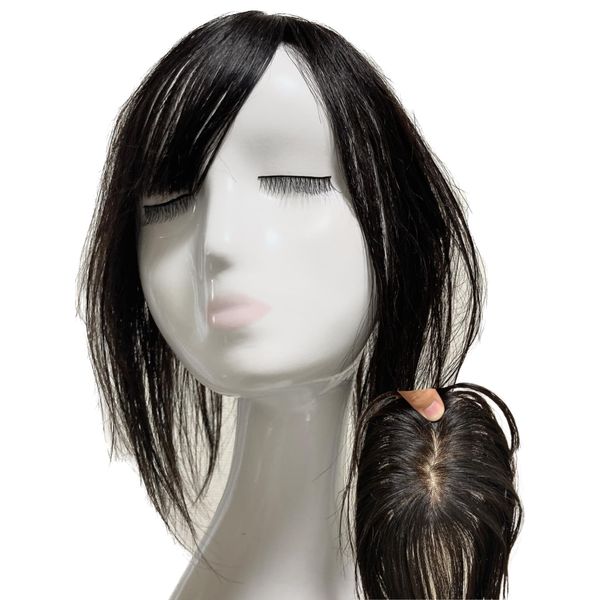 Luce brillare Partial Wig, Wig, Women's, 100% Human Hair, Freely Divided Wig, Semi-Long, Medical Use, Whorl, Crown of Head, Silk Base, Thin Hair, Hair Removal, Human Hair, Hairpiece, Top Piece, Top