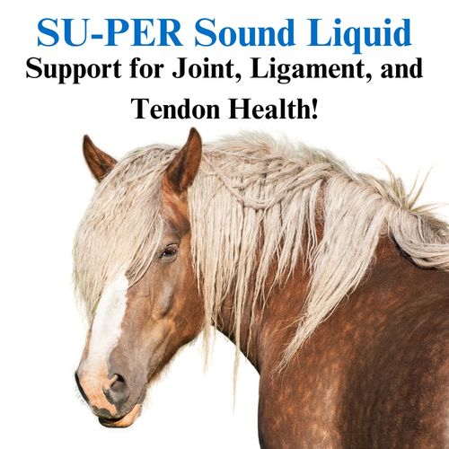 SU-PER Sound Joint Horse Supplement - Support for Joint, Ligament, and Tendon Health - Horse Vitamins and Minerals, Glucosamine, MSM, Bromelain, Amino Acids, Lysine - 1 Gallon + Pump, 2 Month Supply