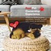 88 Unlimited German Shepherd Plush
