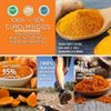 Turmeric Curcumin Highest Potency 1950mg & BioPerine Black Pepper Extract 120Pcs